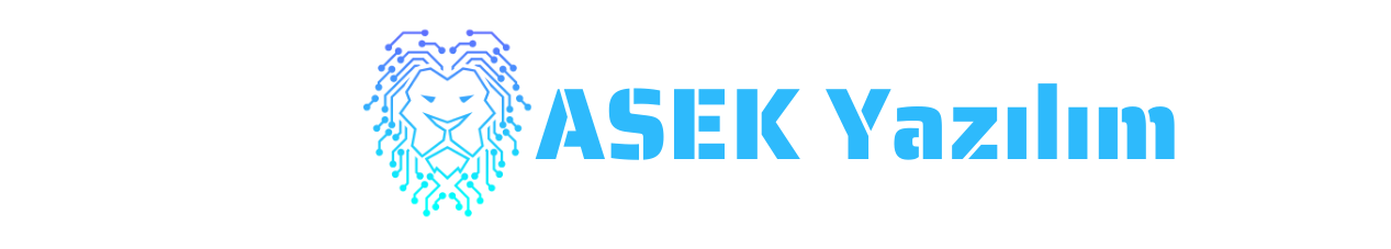 Asek Yazılım
